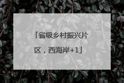 省级乡村振兴片区，西海岸+1