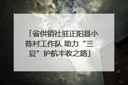 省供销社驻正阳县小陈村工作队 助力“三夏”护航丰收之路