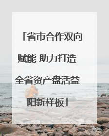 省市合作双向赋能 助力打造全省资产盘活益阳新样板