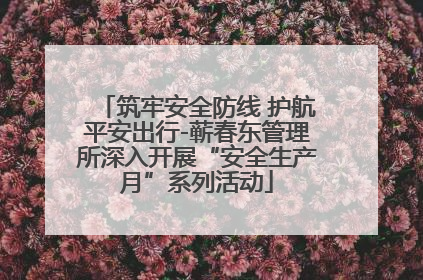 筑牢安全防线 护航平安出行-蕲春东管理所深入开展“安全生产月”系列活动