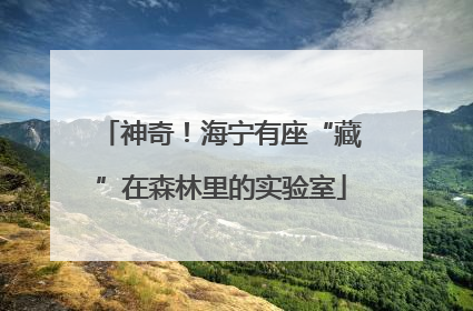 神奇！海宁有座“藏”在森林里的实验室