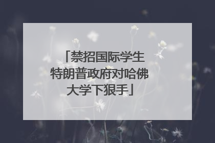 禁招国际学生 特朗普政府对哈佛大学下狠手