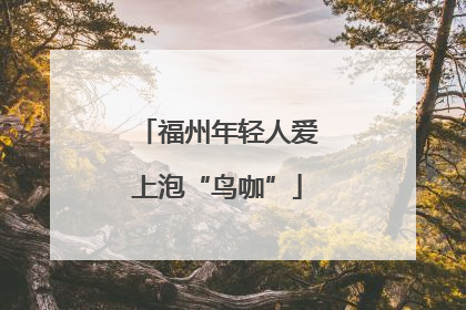 福州年轻人爱上泡“鸟咖”