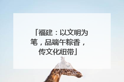 福建：以文明为笔，品端午粽香，传文化纽带