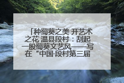 种蜀葵之美 开艺术之花 温县段村：刮起一股蜀葵文艺风——写在“中国·段村第三届蜀葵画展”开展之际