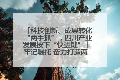 科技创新、成果转化“两手抓”，四川产业发展按下“快进键”丨牢记嘱托 奋力打造两高地两基地一屏障