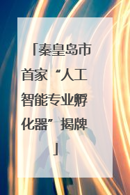 秦皇岛市首家“人工智能专业孵化器”揭牌