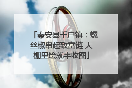 秦安县千户镇：螺丝椒串起致富链 大棚里绘就丰收图