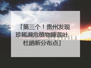 第三个！贵州发现珍稀濒危植物睡莲叶杜鹃新分布点