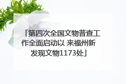 第四次全国文物普查工作全面启动以 来福州新发现文物1173处