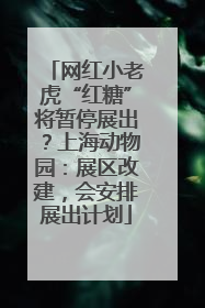 网红小老虎“红糖”将暂停展出？上海动物园：展区改建，会安排展出计划