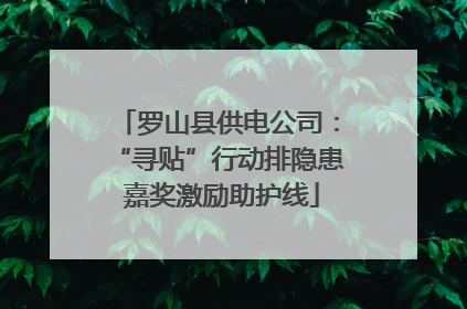 罗山县供电公司：“寻贴”行动排隐患 嘉奖激励助护线