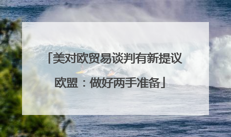 美对欧贸易谈判有新提议 欧盟：做好两手准备