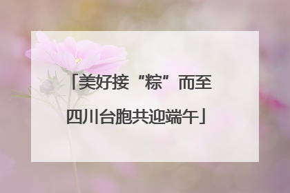 美好接“粽”而至 四川台胞共迎端午