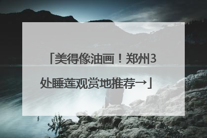 美得像油画！郑州3处睡莲观赏地推荐→
