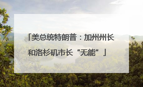 美总统特朗普：加州州长和洛杉矶市长“无能”
