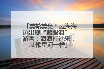 美轮美奂！威海海边出现“蓝眼泪”，游客：海浪打过来，就像星河一样