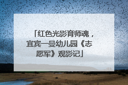 红色光影育师魂，宜宾一曼幼儿园《志愿军》观影记