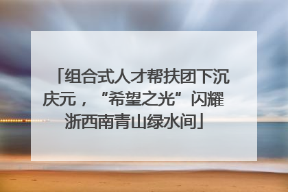 组合式人才帮扶团下沉庆元，“希望之光”闪耀浙西南青山绿水间