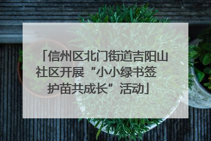 信州区北门街道吉阳山社区开展“小小绿书签 护苗共成长”活动