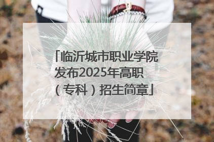 临沂城市职业学院发布2025年高职（专科）招生简章