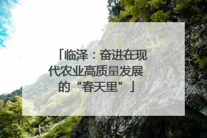 临泽：奋进在现代农业高质量发展的“春天里”