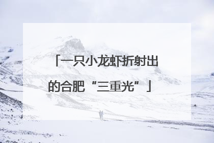 一只小龙虾折射出的合肥“三重光”