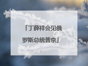 丁薛祥会见俄罗斯总统普京