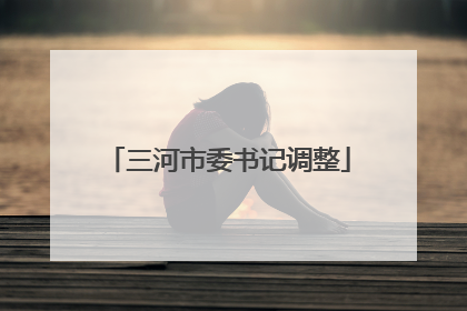 三河市委书记调整