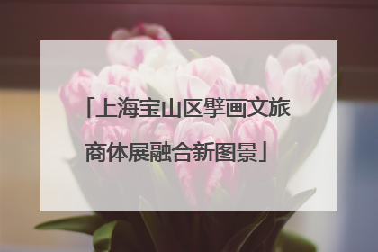 上海宝山区擘画文旅商体展融合新图景