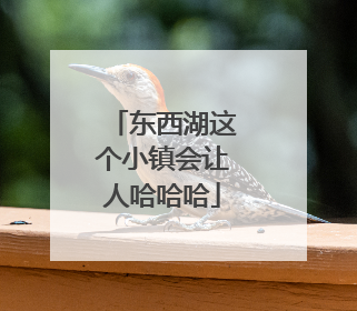 东西湖这个小镇会让人哈哈哈