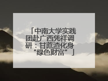 中南大学实践团赴广西凭祥调研：甘蔗渣化身“绿色财富”