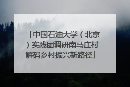 中国石油大学（北京）实践团调研南马庄村解码乡村振兴新路径