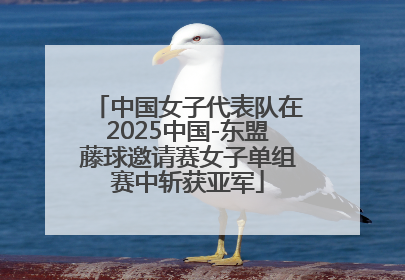 中国女子代表队在2025中国-东盟藤球邀请赛女子单组赛中斩获亚军