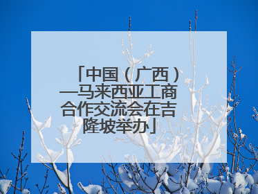 中国（广西）—马来西亚工商合作交流会在吉隆坡举办