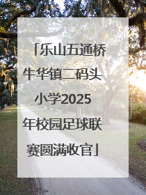 乐山五通桥牛华镇二码头小学2025年校园足球联赛圆满收官