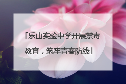 乐山实验中学开展禁毒教育，筑牢青春防线