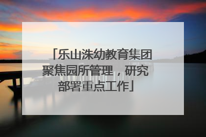 乐山洙幼教育集团聚焦园所管理，研究部署重点工作