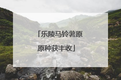 乐陵马铃薯原原种获丰收
