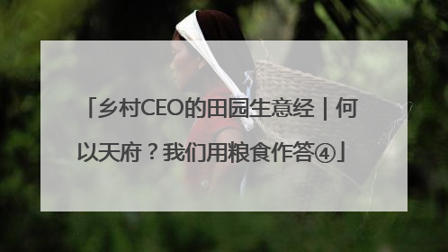 乡村CEO的田园生意经｜何以天府？我们用粮食作答④