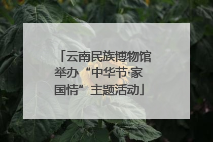云南民族博物馆举办“中华节·家国情”主题活动