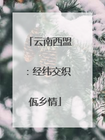云南西盟：经纬交织佤乡情