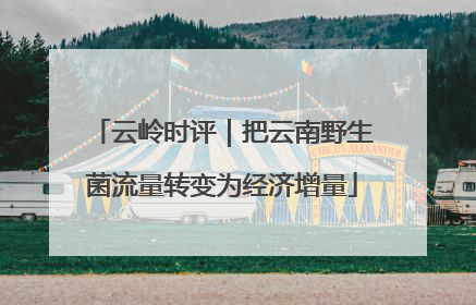 云岭时评｜把云南野生菌流量转变为经济增量