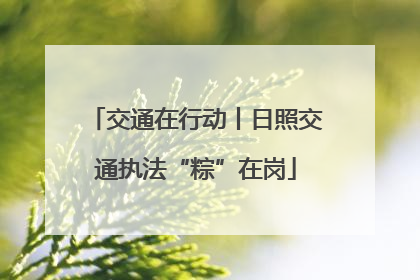交通在行动丨日照交通执法“粽”在岗