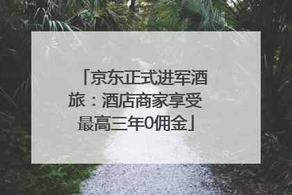 京东正式进军酒旅：酒店商家享受最高三年0佣金