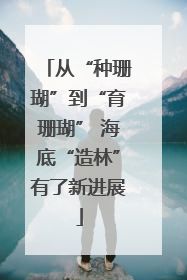 从“种珊瑚”到“育珊瑚” 海底“造林”有了新进展