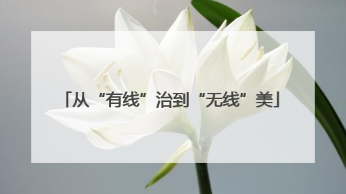从“有线”治到“无线”美