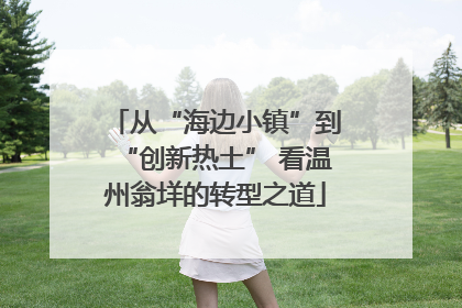从“海边小镇”到“创新热土” 看温州翁垟的转型之道