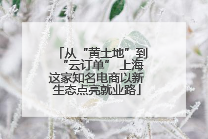 从“黄土地”到“云订单” 上海这家知名电商以新生态点亮就业路