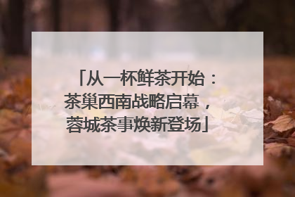 从一杯鲜茶开始：茶巢西南战略启幕，蓉城茶事焕新登场
